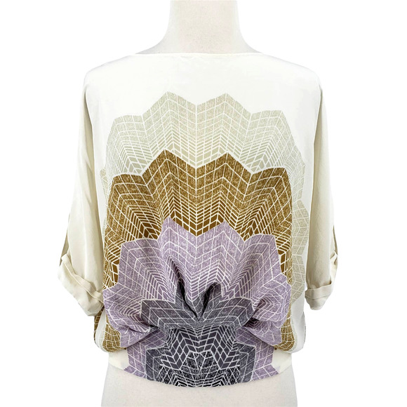 BCBGMaxAzria Tops - BCBGMaxAzria Silk Chiffon Top